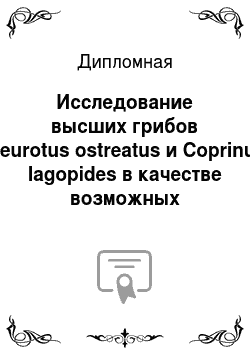 Дипломная: Исследование высших грибов Pleurotus ostreatus и Coprinus lagopides в качестве возможных продуцентов гидрофобинов