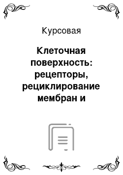 Курсовая: Клеточная поверхность: рецепторы, рециклирование мембран и передача сигналов