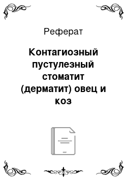 Реферат: Контагиозный пустулезный стоматит (дерматит) овец и коз