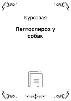 Курсовая: Лептоспироз у собак