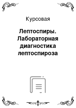 Курсовая: Лептоспиры. Лабораторная диагностика лептоспироза