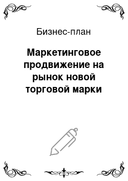 Бизнес-план: Маркетинговое продвижение на рынок новой торговой марки