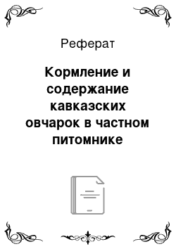 Реферат: Кормление и содержание кавказских овчарок в частном питомнике «Надежная охрана»