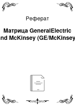 Реферат: Матрица GeneralElectric and McKinsey (GE/McKinsey)