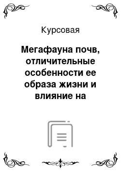 Курсовая: Мегафауна почв, отличительные особенности ее образа жизни и влияние на процессы, происходящие в почве