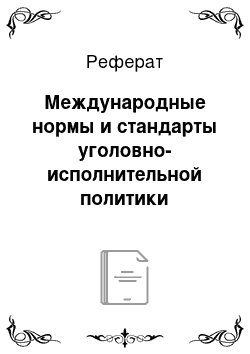 Реферат: Международные нормы и стандарты уголовно-исполнительной политики