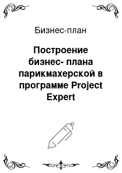 Бизнес-план: Построение бизнес-плана парикмахерской в программе Project Expert