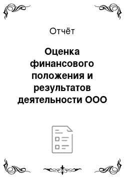 Отчёт: Оценка финансового положения и результатов деятельности ООО «Айрон»